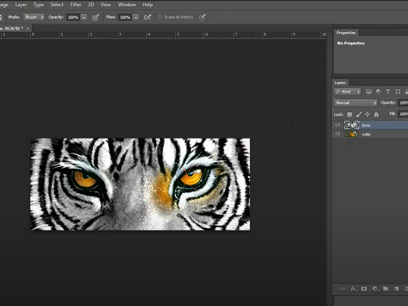 Technology Teacher Suite | Color Focal Points Project | Adobe Photoshop Lesson - Mr. Riese