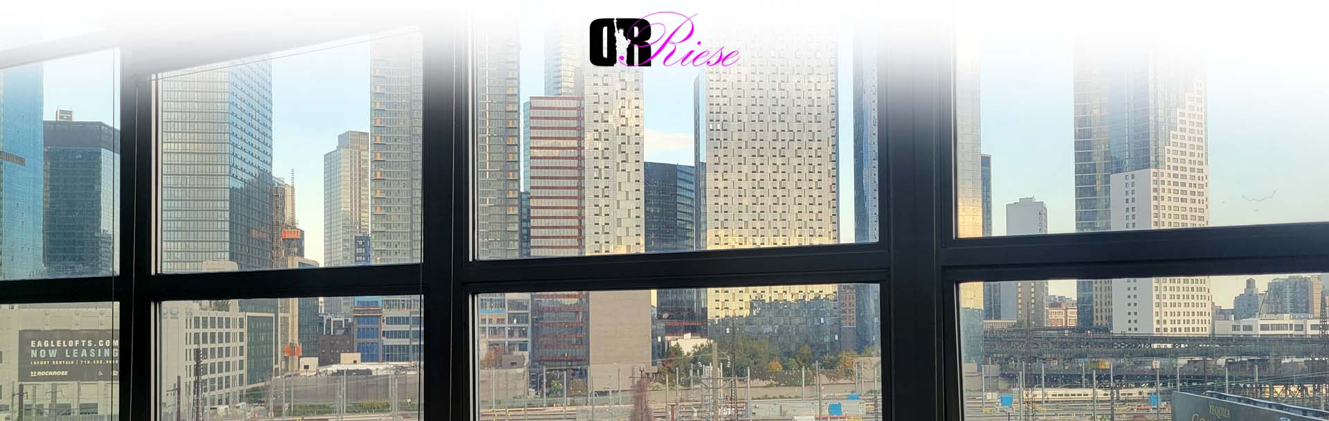 Course Outline | Dr. Riese