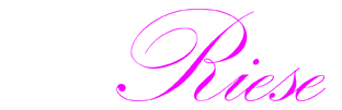 Mr. Riese Web Design, Hosting, & SEO, Manhattan, NYC, New York City, Queens, Long Island, Brooklyn, NY | 516.286.3583 | Logo