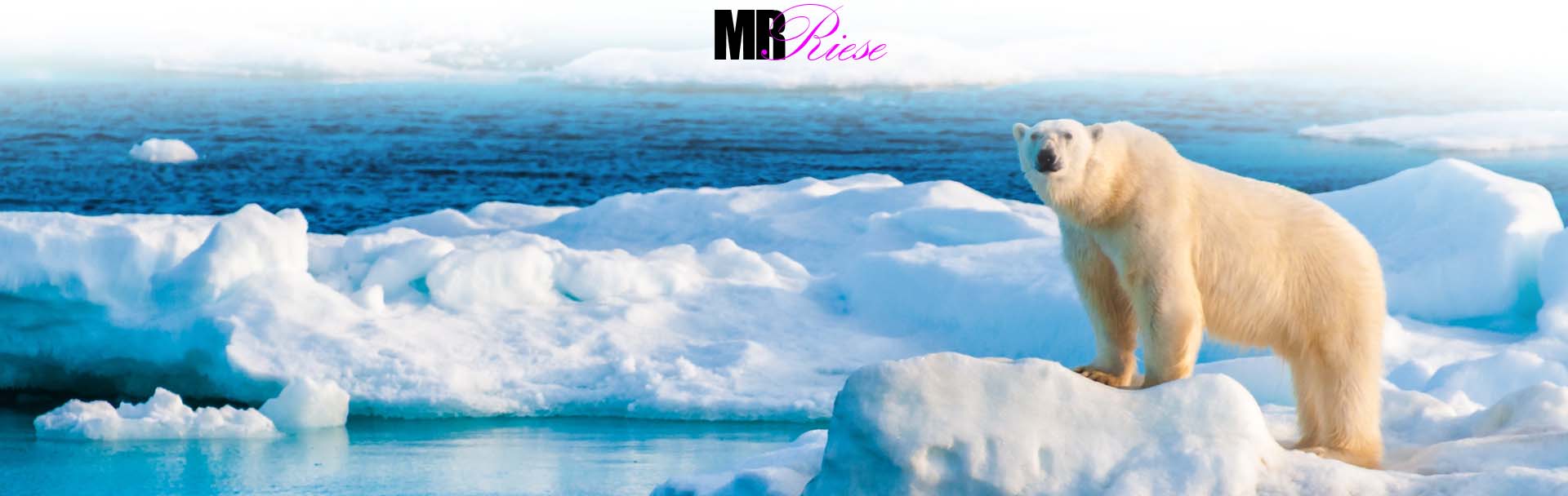 World Wildlife Fund (WWF) Project Photoshop Project | Mr. Riese - image